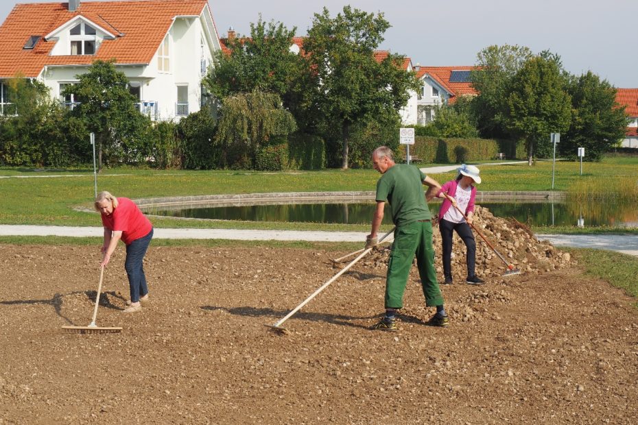 Blühwiese Grünanger Unterbiberg