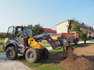 Blühfläche Grünanger Unterbiberg